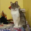 Отзыв от Надежда Воронцова